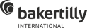 Baker Tilly International Seeklogo